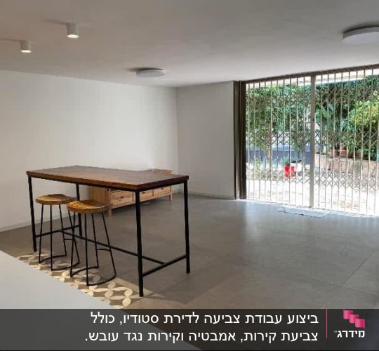ביצוע עבודת צביעה לדירת סטודיו, כולל צביעת קירות, אמבטיה וקירות נגד עובש.